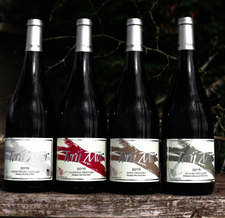 Single Vineyard Series Image