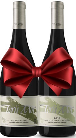 Taste of the Chehalem Mountains